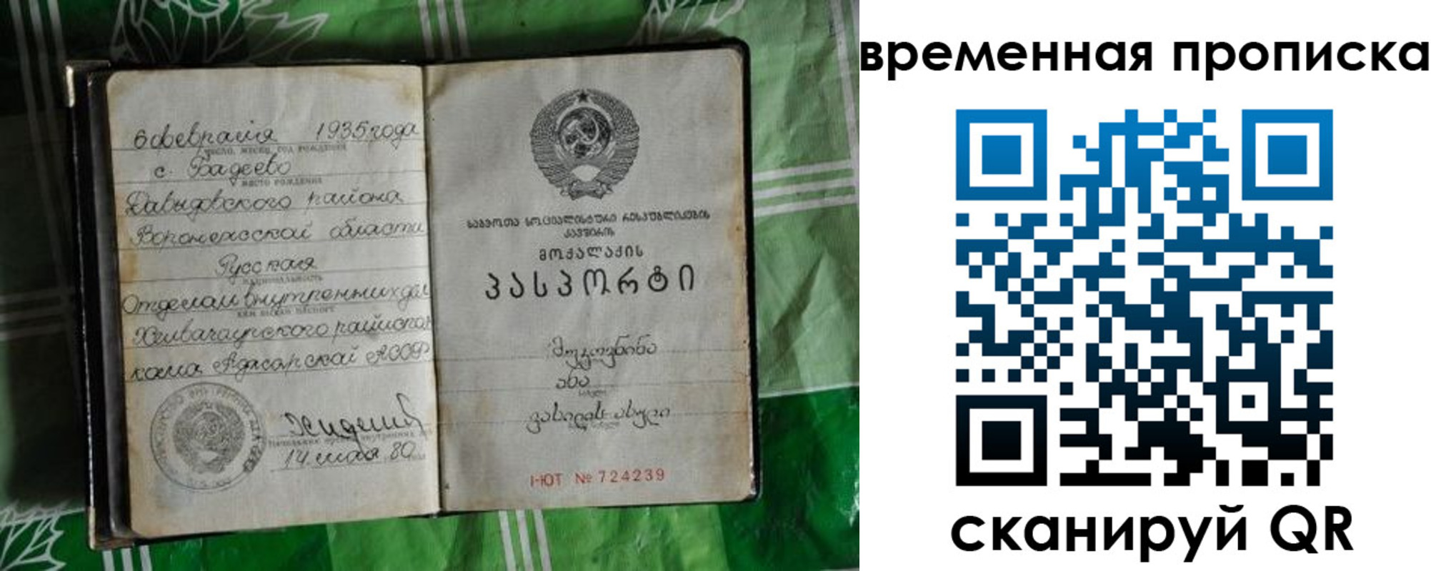 прописка в Грязях